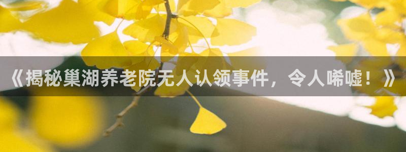 韦德betvlctor1946