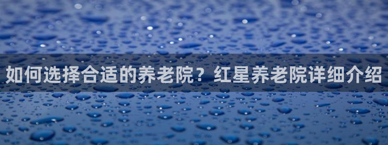 韦德 官网