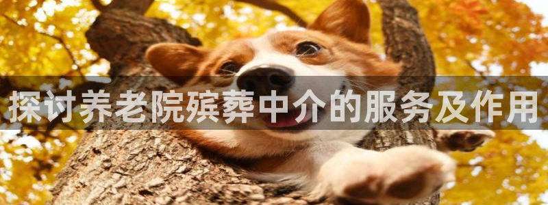 韦德官方网址