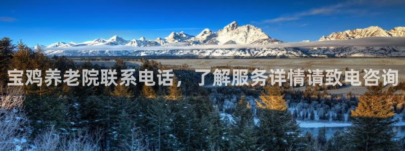 韦德bietview官网
