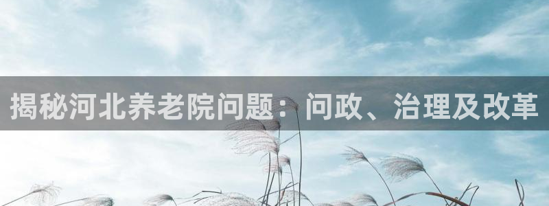 韦德1946备用网站