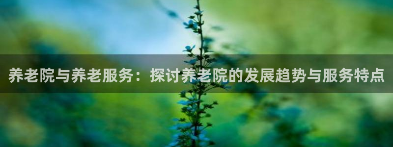 韦德1946备用网站