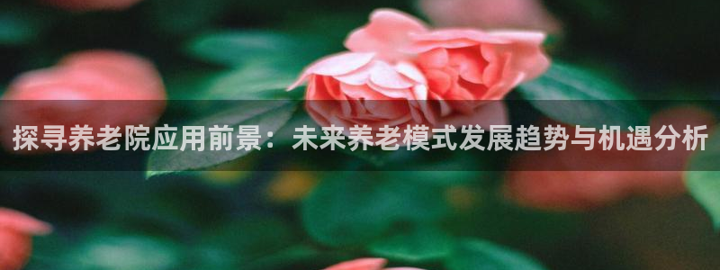 1946韦德找回密码