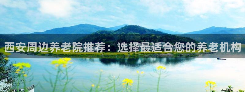 韦德 网址