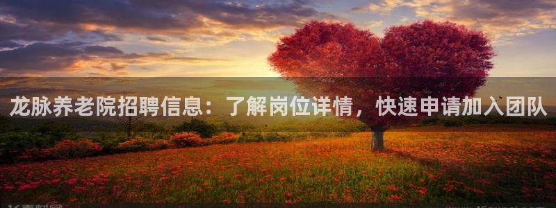 bet韦德1946