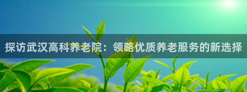 韦德网址是多少