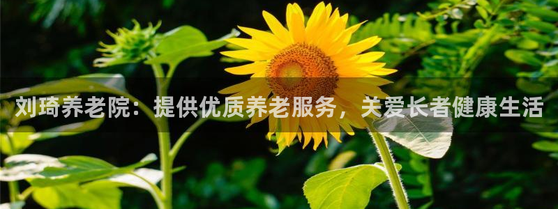 韦德属于什么