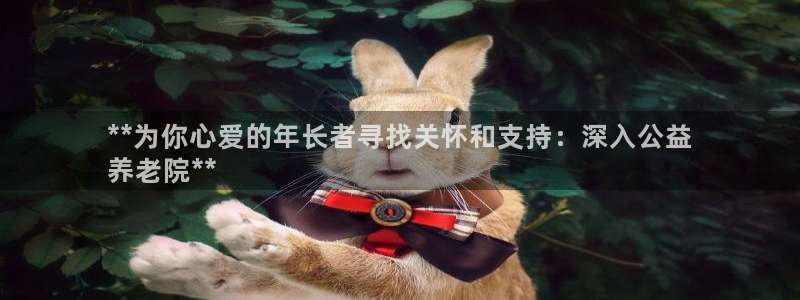 韦德观战总决赛G3
