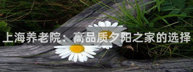韦德bietview官网
