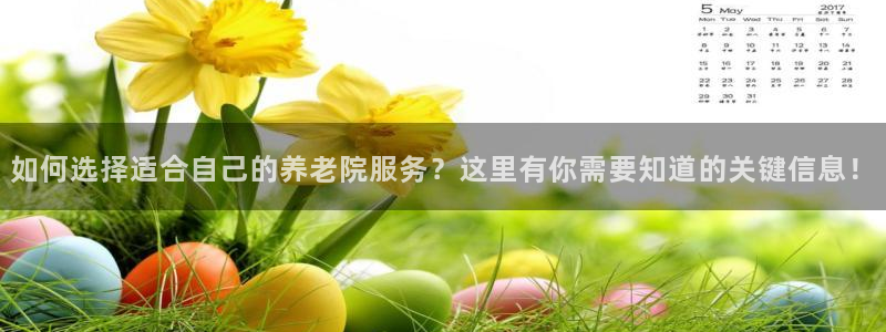 韦德的游戏