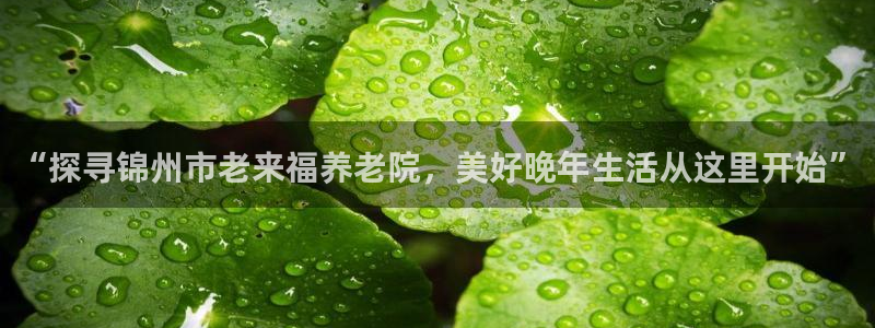 韦德1946