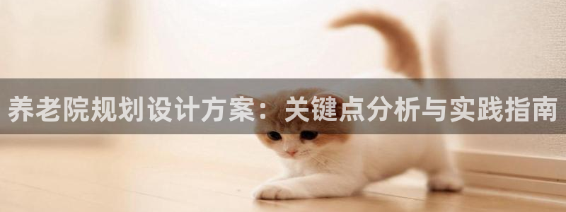 韦德观战总决赛G3
