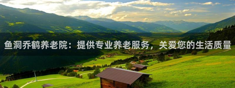 韦德的游戏