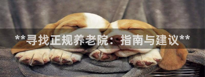 韦德1946体育