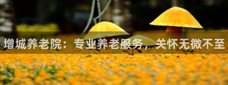 韦德游戏大厅