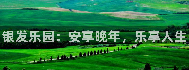 韦德网址是多少