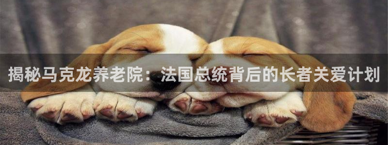 韦德是哪一届