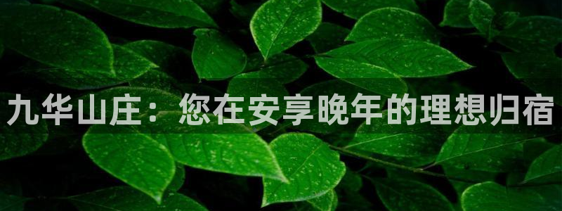 韦德1946中文官网