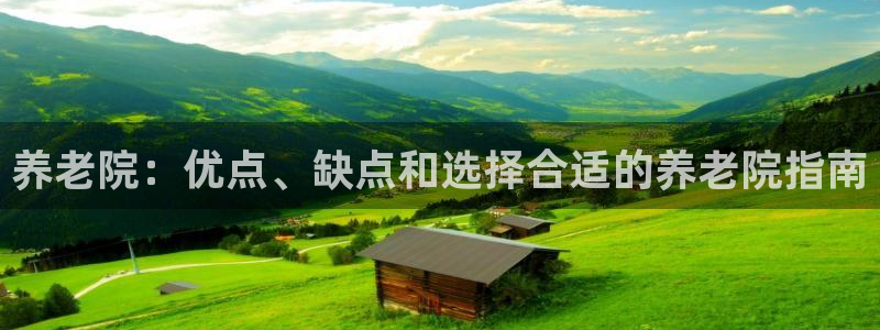韦德属于什么