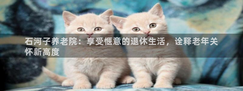 韦德注册手机版下载