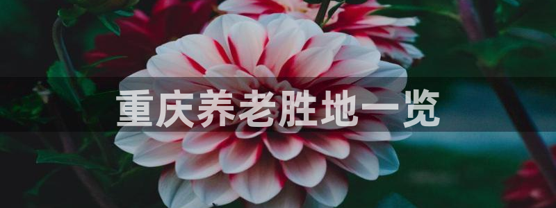 韦德合集