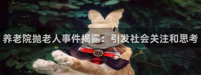 韦德1946体育