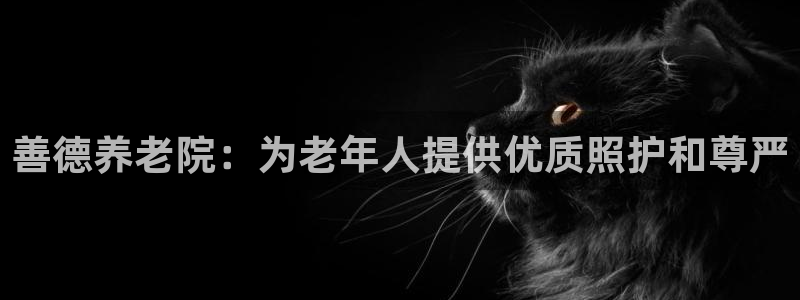 韦德观战总决赛G3